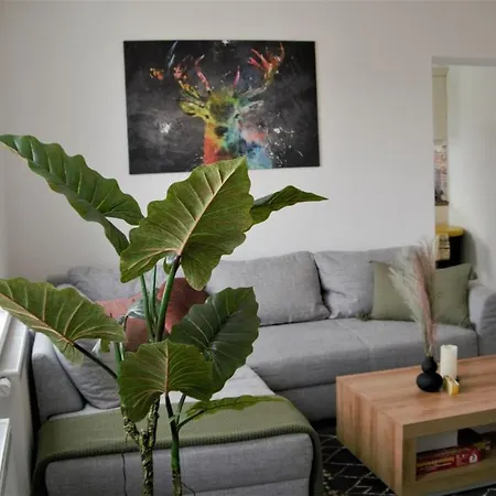 Ruebezahl Mit Kamin #innenstadtnaehe#netflix Von Harztraveler Bad Harzburg