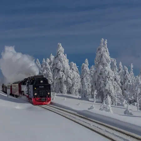 公寓 Ruebezahl Mit Kamin #innenstadtnaehe#netflix Von Harztraveler 巴特哈尔茨堡