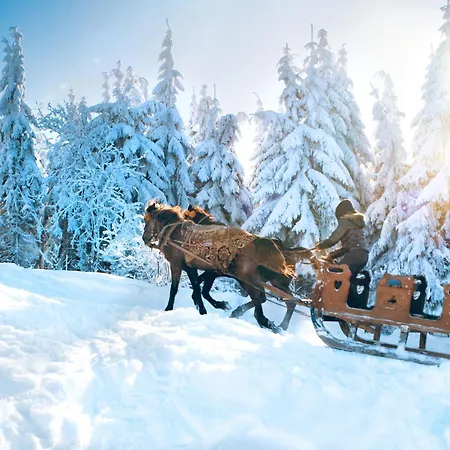 Ruebezahl Mit Kamin #innenstadtnaehe#netflix Von Harztraveler 巴特哈尔茨堡