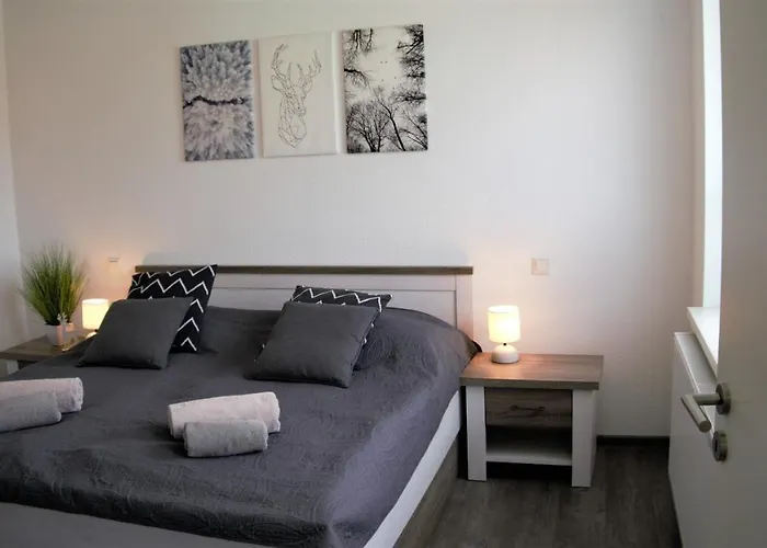 Apartamento Ruebezahl Mit Kamin #innenstadtnaehe#netflix Von Harztraveler